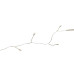 Гирлянда Роса Uniel ULD-S0500-125/DTA WHITE IP20 DEWDROP UL-00012121