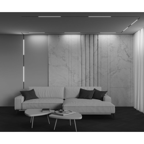 Трековый магнитный светильник Maytoni Technical Basis Exility X TR240-2-12W3K-B