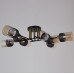 Потолочная люстра Reluce 48460-0.3-08 BK+COPPER