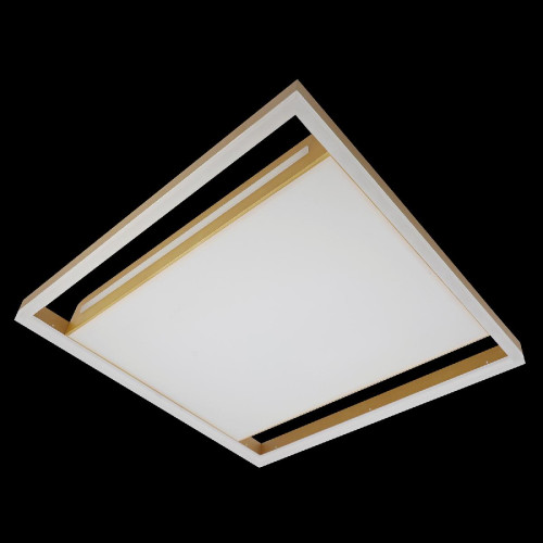 Потолочная люстра Natali Kovaltseva LED LAMPS 81307