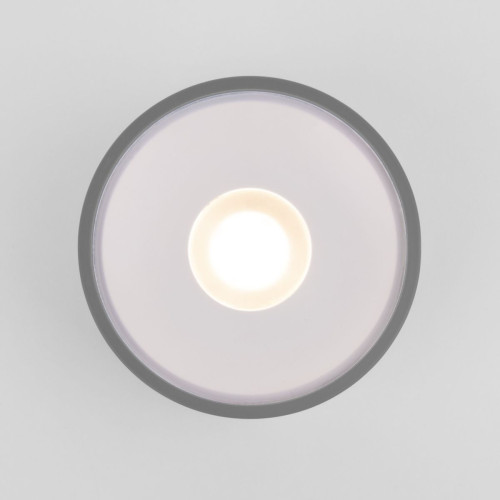 Уличный потолочный светильник Elektrostandard Light LED 4690389180149