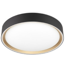 Потолочный светильник Citilux Boss CL751251G