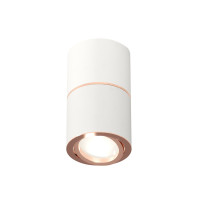Потолочный светильник Ambrella Light Techno Spot XS7401220 (C7401, A2073, C7401, N7005)