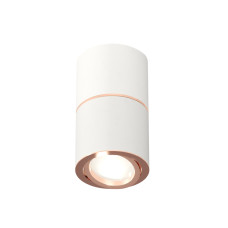 Потолочный светильник Ambrella Light Techno Spot XS7401220 (C7401, A2073, C7401, N7005)