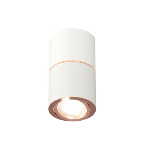 Потолочный светильник Ambrella Light Techno Spot XS7401220 (C7401, A2073, C7401, N7005)