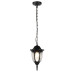 Уличный подвесной светильник ЭРА Галатея GBS-105-BL-0800 230В Е27 IP54 чёрный Б0071486