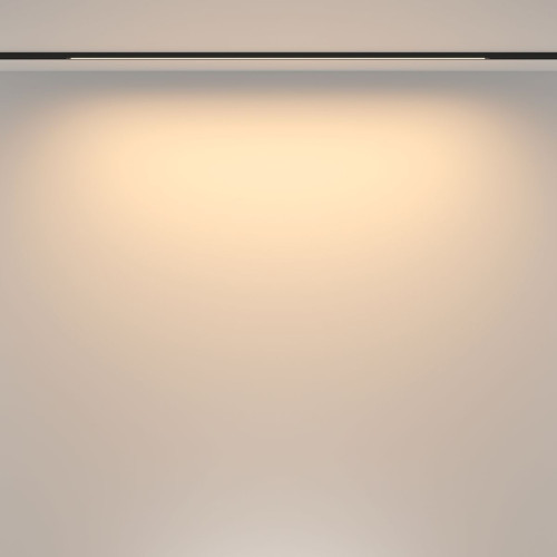 Трековый магнитный светильник Maytoni Basis TR173-1-24WTW-B