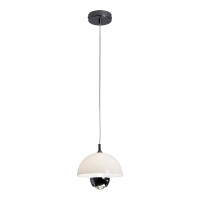 Подвесной светильник Lussole Poughkeepsie LSP-7524