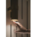 Бра Maytoni Technical Focus Design C069WL-02B