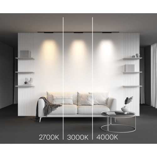 Трековый магнитный светильник Maytoni Points TR193-1-15W2.7K-M-B