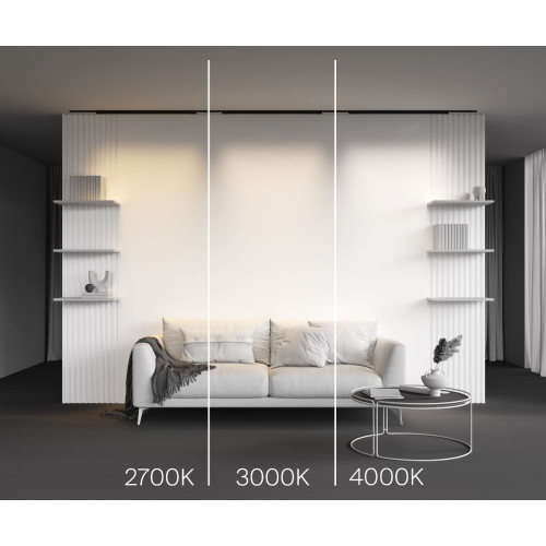 Трековый магнитный светильник Maytoni Basis TR192-1-21W2.7K-B