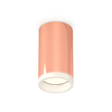 Потолочный светильник Ambrella Light Techno Spot XS6326020 (C6326, N6245)