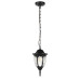 Уличный подвесной светильник ЭРА Галатея GBS-105-BL-0800 230В Е27 IP54 чёрный Б0071486