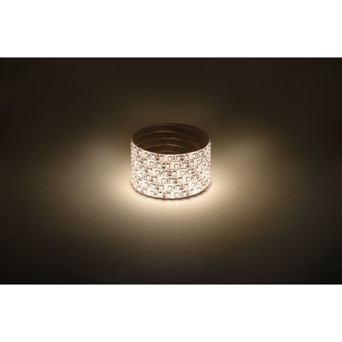 Светодиодная лента Эра 12В 2835 9,6Вт/м 3000K 5м IP65 LS2835 120LED-IP65-WW-eco-5m Б0035600