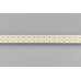 Светодиодная лента Arlight RT-A168-10mm 24V Warm2400-CX2 (17.3 W/m, IP20, 2835, 5m) 028740(2)