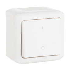 Выключатель одноклавишный двухполюсный Legrand Quteo 10A 250V IP44 белый 782309