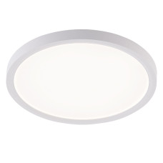 Потолочный светильник Natali Kovaltseva Plain LED LAMPS 81113/2C