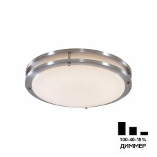 Настенно-потолочный светильник Citilux Бостон CL709321N