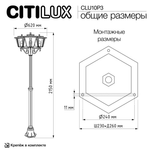 Парковый светильник Citilux Forts CLU10P3