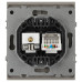 Розетка Эра Arktik 16-3110-07 комбинированная RJ45+TV титан Б0070500
