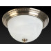 Накладной светильник Toplight Daniela TL5010Y-02AB