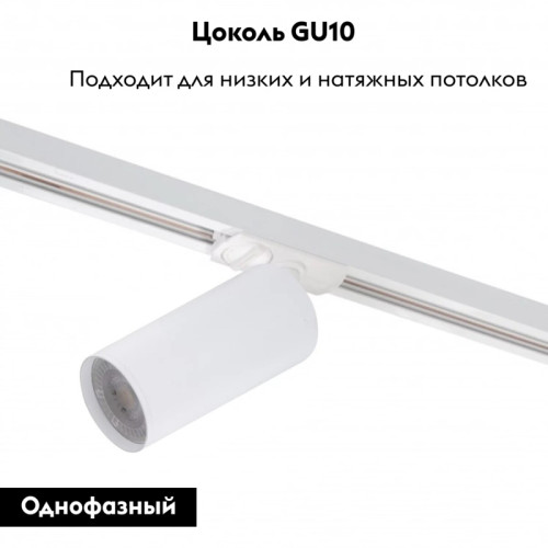 Светильник на шине Denkirs DK6202-WH