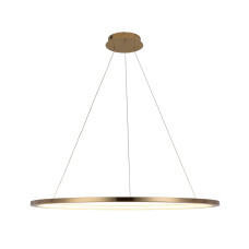 Подвесной светодиодный светильник Loft IT Ring 10014XL