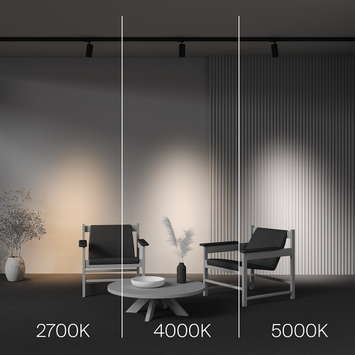 Трековый трехфазный светильник Maytoni Focus Led TR197-3-20WCCT-M-B