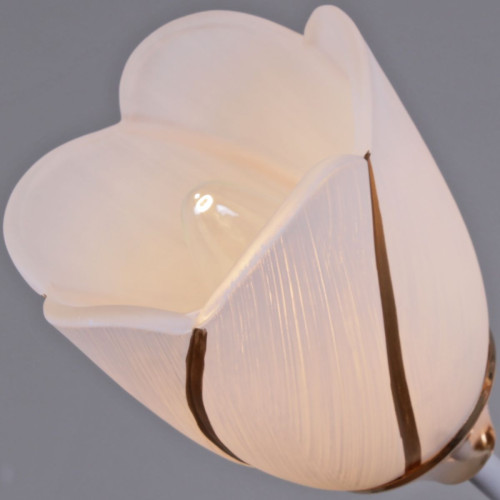 Потолочная люстра Reluce 35360-0.3-06 WH+FG