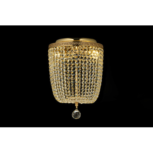 Накладная люстра Arti Lampadari Castellana E 1.2.25.501 G