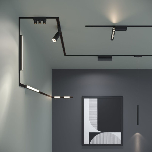 Трековый магнитный светильник Elektrostandard Flat magnetic 4690389198502 a063693
