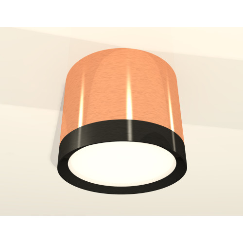 Потолочный светильник Ambrella Light Techno Spot XS8122001 (C8122, N8113)
