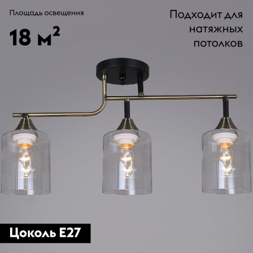 Потолочная люстра Reluce 02312-0.3-03 AB+BK