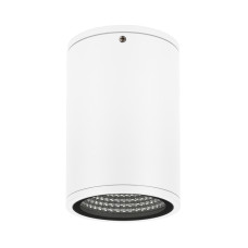 Уличный потолочный светильник Arlight LGD-Forma-Surface-R90-12W Day4000 037259