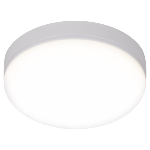 Настенно-потолочный светильник Эра LED 15-24-4K Б0054334