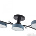 Потолочная люстра Arte Milano Ferrara 256606/5 Bk/Gr