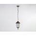 Уличный подвесной светильник Ambrella Light Garden ST2031