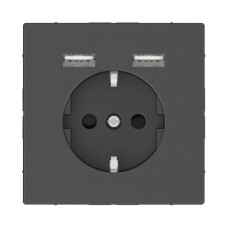 Розетка компьютерная USBx2 Schneider Electric Merten D-Life MTN2366-6034