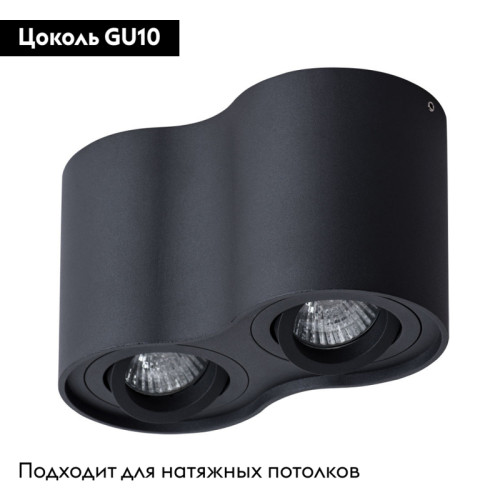Потолочный светильник Arte Lamp Falcon A5645PL-2BK
