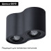 Потолочный светильник Arte Lamp Falcon A5645PL-2BK