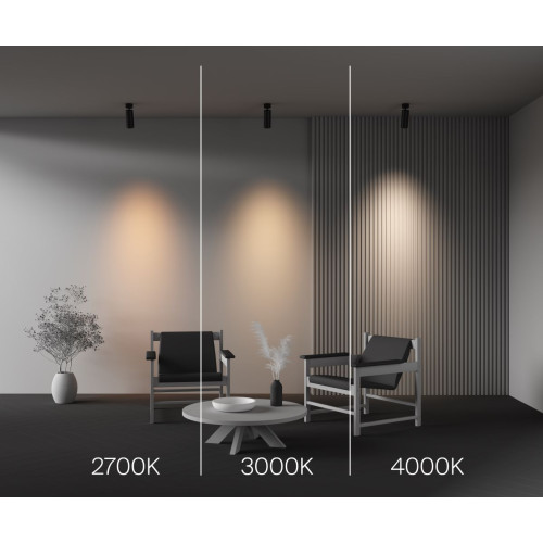 Спот Maytoni Technical Focus Led C055CL-L20W2.7-3-4K-M-B