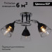 Потолочная люстра Reluce 70139-3.3-03 CR+BK
