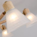 Люстра на штанге Arte Lamp Meleph A4096PL-8BR
