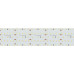 Светодиодная лента Arlight S2-A420-59mm 24V Warm3000 (30 W/m, IP20, 2835, 2.5m) 021208(2)