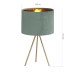 Настольная лампа ST Luce Fuego SL6242.704.01