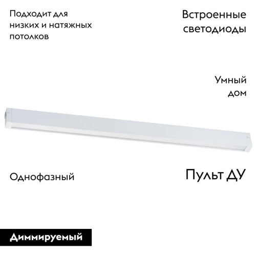 Трековый однофазный светильник Lightstar Teta 205246