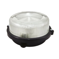 Настенно-потолочный светильник TDM Electric НПП 03-100-005.03 SQ0311-0004