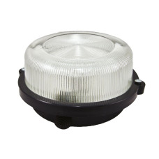 Настенно-потолочный светильник TDM Electric НПП 03-100-005.03 SQ0311-0004