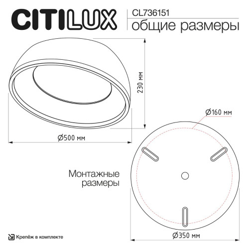 Потолочный светильник Citilux Floom CL736151