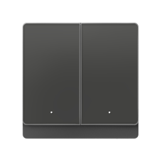 YLP-D Smart Wall Switch(2 key) grey